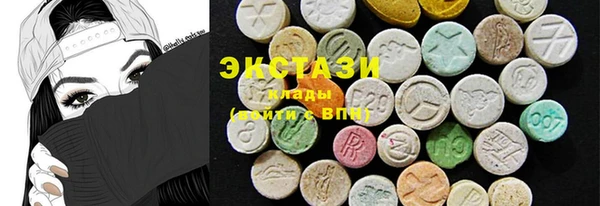 ECSTASY Алзамай
