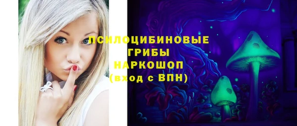 ECSTASY Алзамай