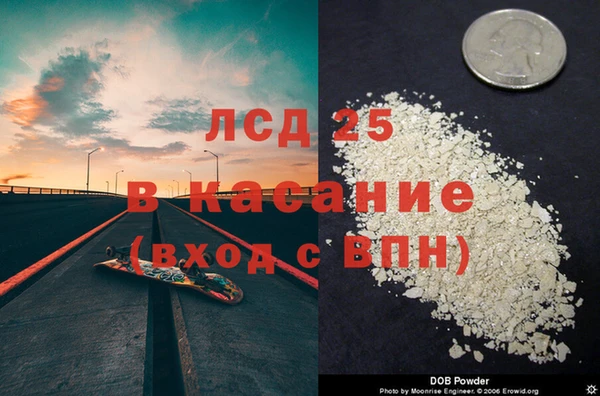 ECSTASY Алзамай