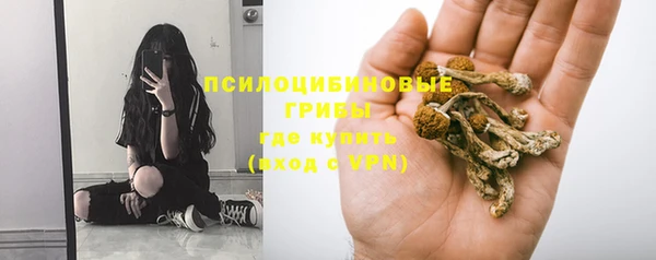 синтетический гашиш Алексеевка