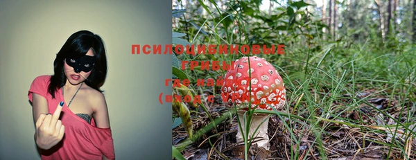 ECSTASY Алзамай
