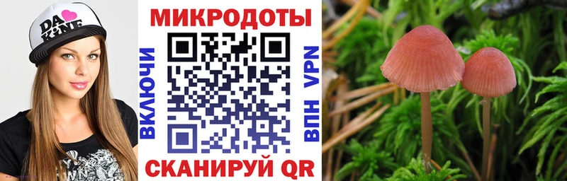 купить наркотики цена  Лихославль  Галлюциногенные грибы Cubensis 